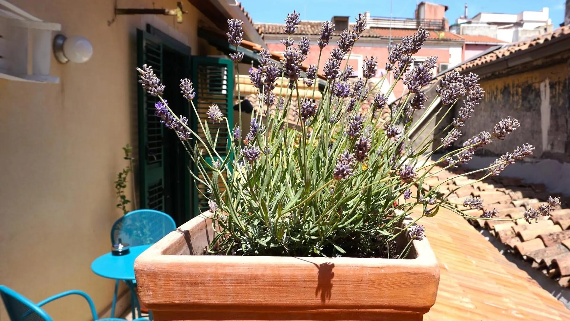 Casa Catelli Apartment Catania Italy